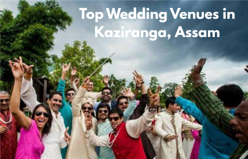 Top Wedding Venues Near Kaziranga National Park for a Wildly Romantic Celebration