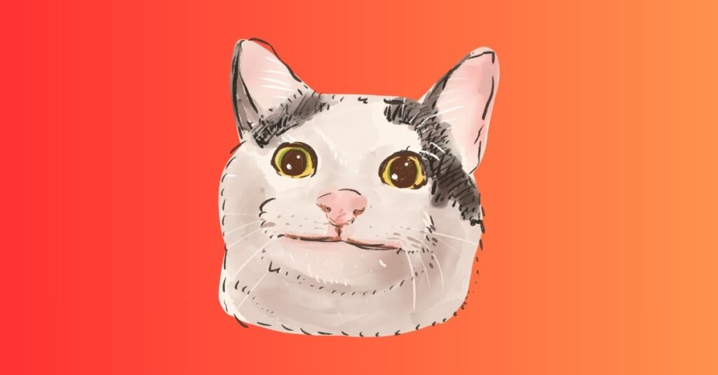 CAT CONFUSED
